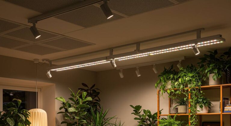 照明のプロが厳選！高演色照明×植物育成LED×ダクトレールの最強組み合わせ
