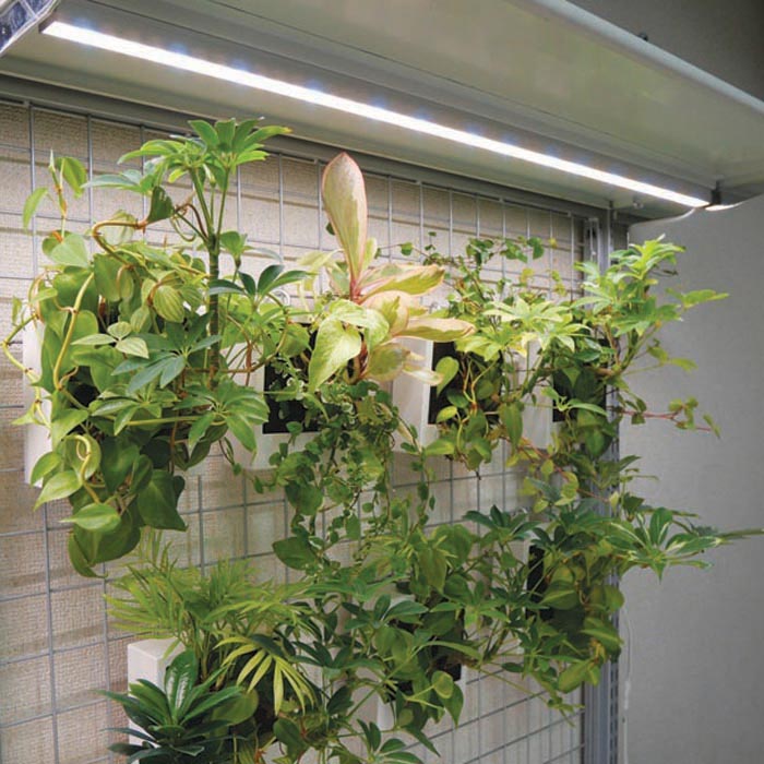 「LPLAC05/08L」で植物も人も心地よく。家庭とビジネスを彩る高演色LEDバーライトの魅力