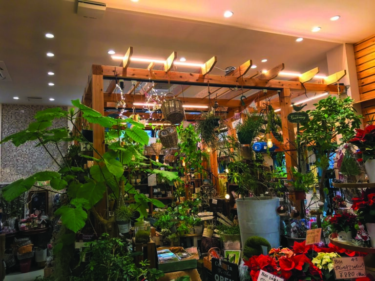 静岡・柏木植物園がLEDECOのバータイプLED照明で店内の観葉植物を元気に