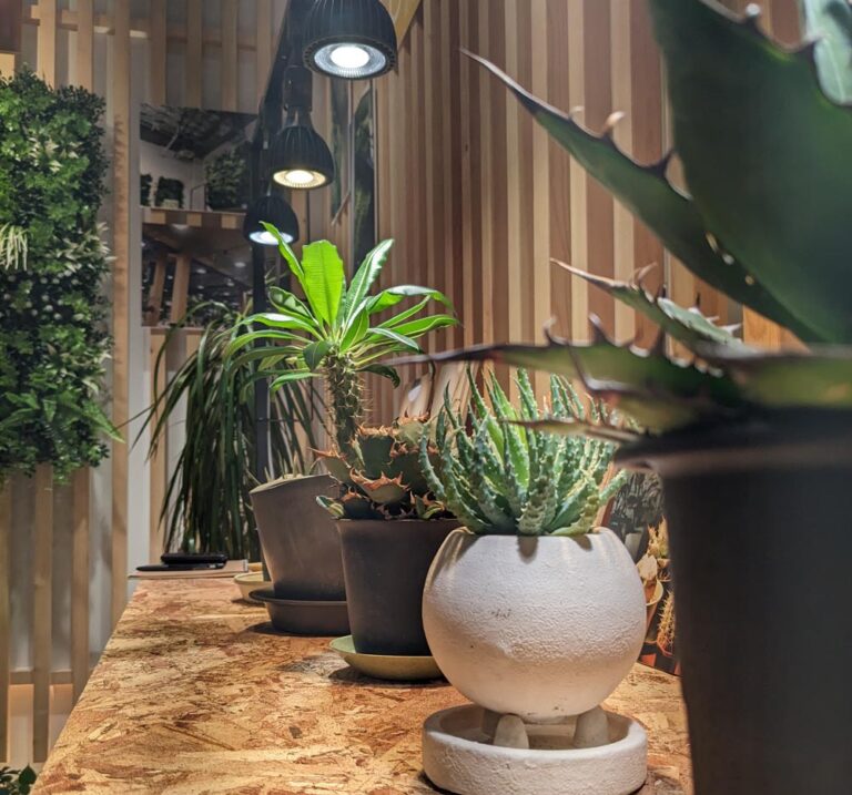 室内植物が枯れる本当の理由〜白色LEDの選び方で全てが変わる〜