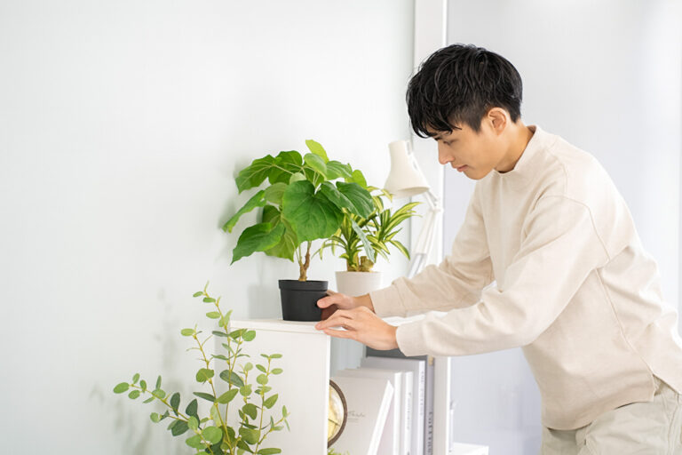 朝5分の手入れで十分！忙しい人のためのミニガーデン育成スケジュール