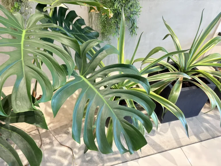 オフィス緑化と植物育成用LEDライトで実現する快適なワークスペース