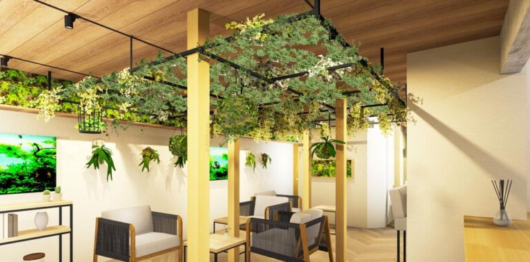 2026年の新トレンド｜園芸×カフェで創る癒しの空間「ボタニカルカフェ」開業と運営の完全ガイド