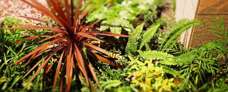 植物育成用白色LEDライト！植物育成と癒し空間を同時に叶える照明の秘密