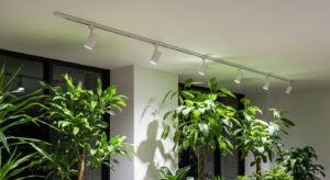 観葉植物を日当たりが悪くても育てる方法！ダクトレール取付型植物育成用白色LEDライトの活用術