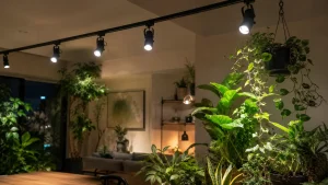 ダクトレール取付タイプの植物育成用白色LEDライトで観葉植物を楽しむ極意