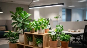 窓のないオフィスで観葉植物を育てる方法：植物育成用白色LEDの仕組みと活用術