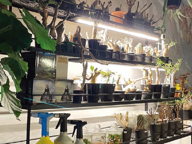 滋賀県大津市 Bio plants様の植物育成LED施工例