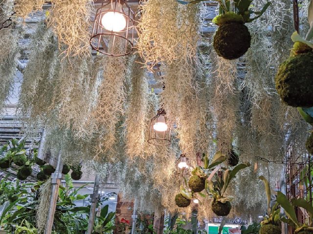 東京都練馬区 オザキフラワーパーク様の植物育成LED施工例