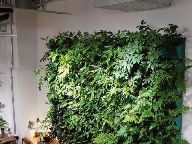 東京都 PLANET 東京営業所様の植物育成LED施工例